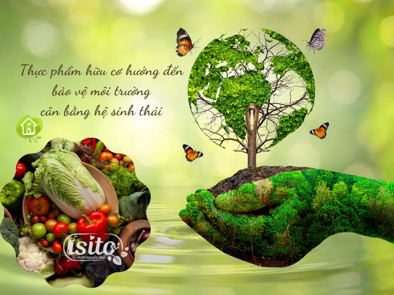 Thực phẩm hữu cơ hướng đến bảo vệ môi trường, cân bằng hệ sinh thái