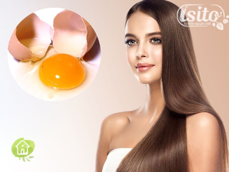 Bí kíp những cách dưỡng tóc bằng trứng gà phục hồi tóc từ gốc đến ngọn