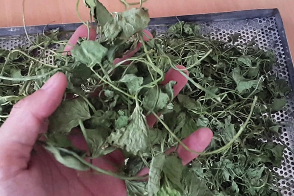 Rau má khô là thảo dược bổ dưỡng