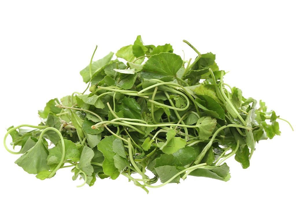 Rau má tươi mọc lan trên mặt đất