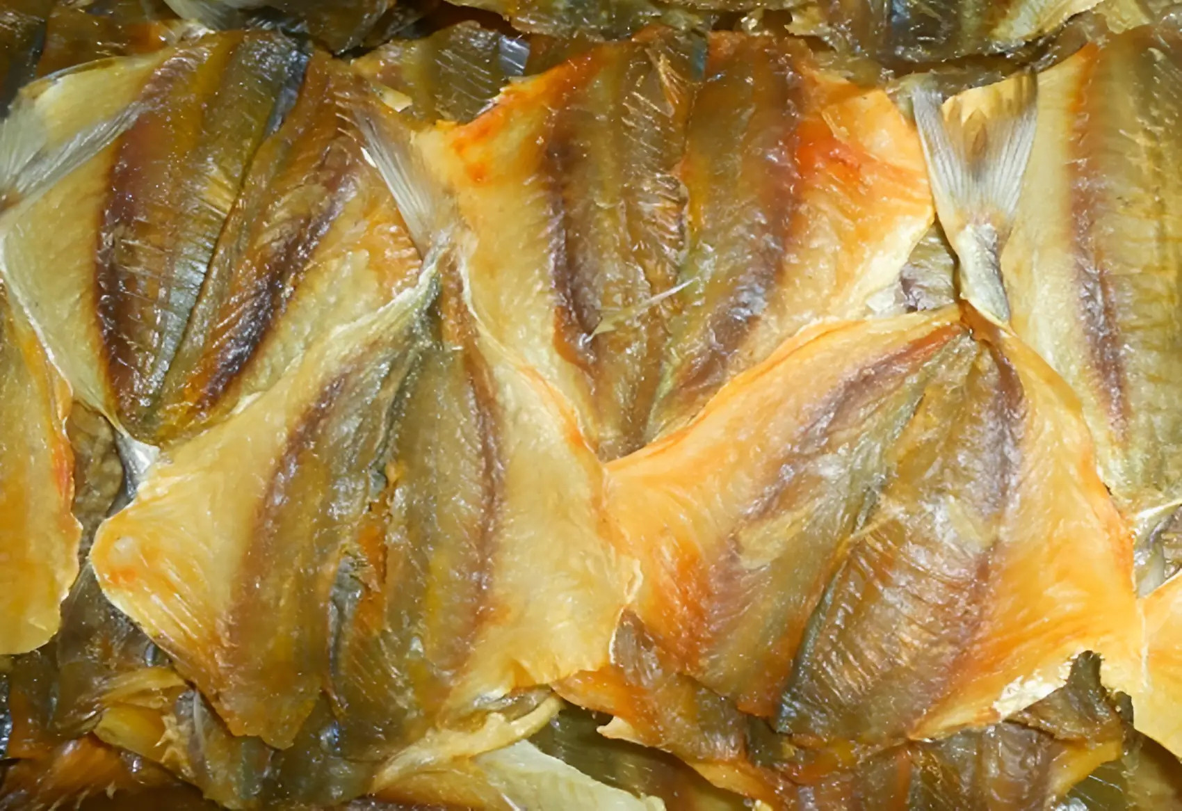 Bảo quản cá trong tủ lạnh