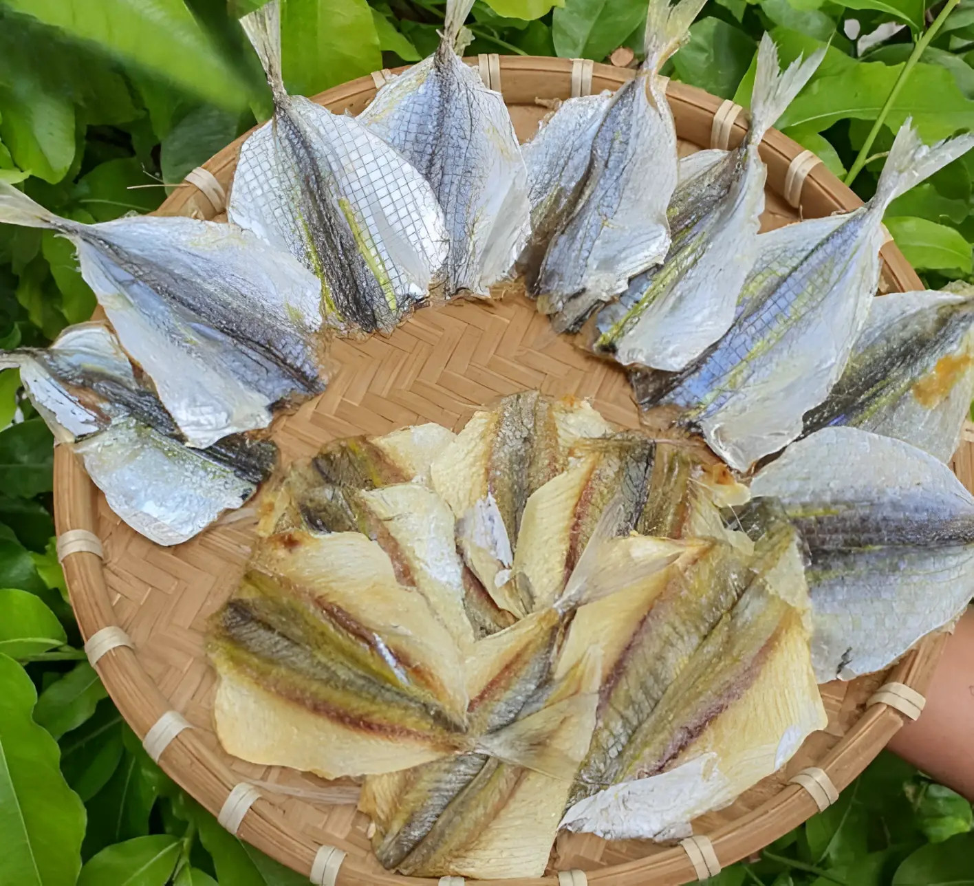 Đặc điểm cá chỉ vàng khô