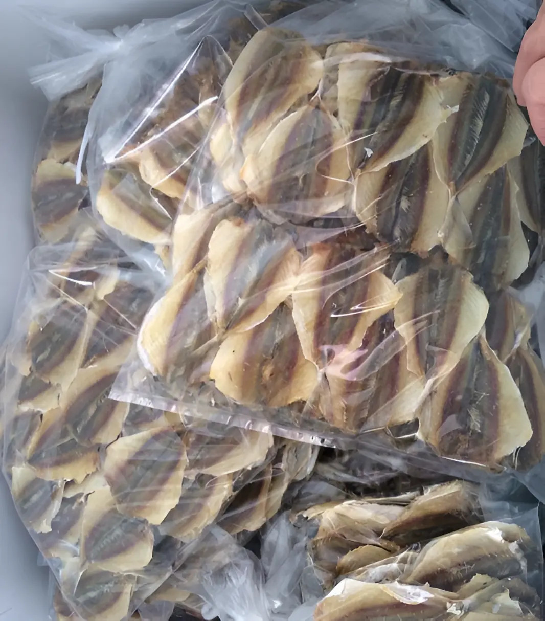 Hút chân không bảo quản cá